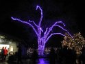 Toledo Zoo Lights 2008 022